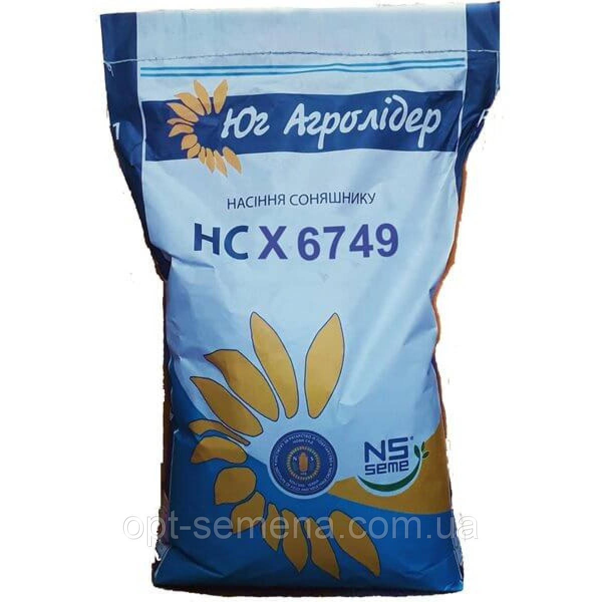 Насіння соняшника НС Х 6749 (Під Гранстар) A-G+