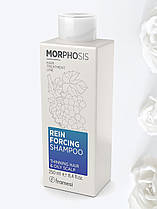 Шампунь проти випадіння волосся Reinforcing Shampoo MORPHOSIS REINFORCING Framesi 250 мл