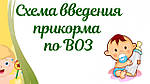 Схема введения прикорма