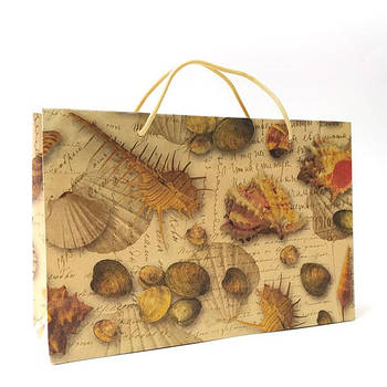 Подарунковий пакет №36 "Мушлі" (370Х240Х112)