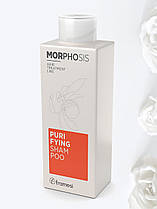 Шампунь проти лупи Purifying Shampoo MORPHOSIS PURIFYING Framesi 250 мл