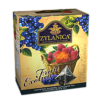 Чай Zylanica пірамідки Fruit Exotica 20 пак.*2 гр. чорний з малиною,чорницею,пелюстками сафлори