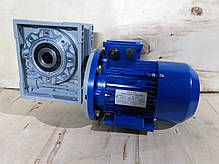 Черв'ячний мотор-редуктор NMRV-75-60 з електродвигуном 0,75 квт 220/380в, фото 2