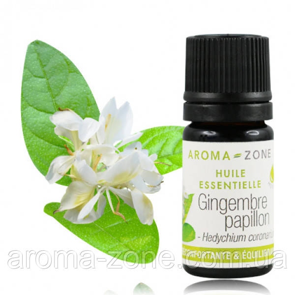 Імбир Листя (Hedychium coronarium) Об'єм: 5 мл