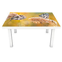 Наклейка на стол Бабочки и Колоски (виниловая пленка ПВХ для мебели) полевые цветы Бежевый 600*1200 мм