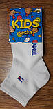 Носки детские - демисезонные ,,Socks Kids,, размер 31-35 Турция, фото 2