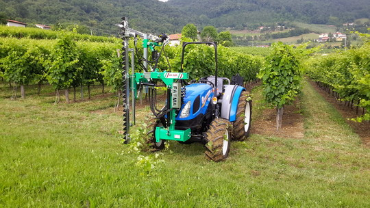 Чеканочная машина для виноградников с косилочными брусьями FA.MA CL200 - фото 1 - id-p1244157456