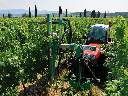 Чеканочная машина для виноградников с ножами FA.MA CR/L 350 - фото 1 - id-p1244157462