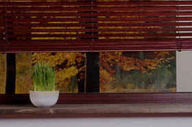 Автоматика GANT для горизонтальних жалюзі Standart