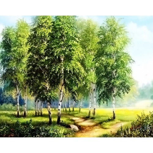 Алмазний живопис Березова галявина My-Art TN485 (40 x 50 см) на підрамнику