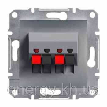 Аудиорозетка сталь Asfora Plus EPH5700162