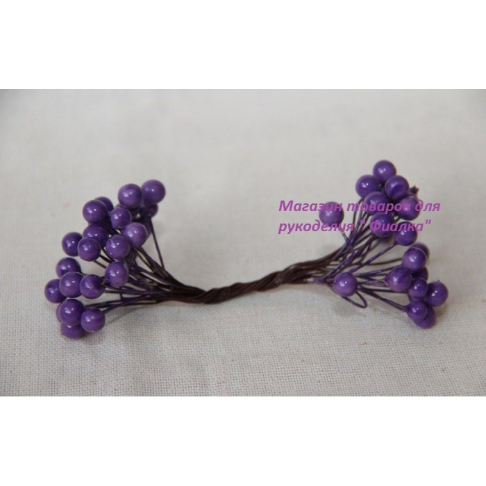 Калина ЛАКОВАНА МІЛКА, фіолетова 500 шт.