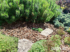 Кора соснова GARDEN, 50л, Фр.2.5 (2-4см), фото 2