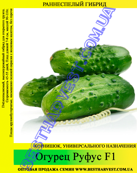 Насіння огірка "Руфус F1" 0.5 кг