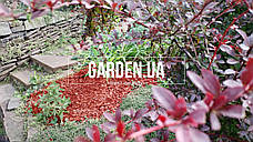 Щепа (тріска) декоративна кольорова GARDEN, 50л, червона, квадратна ОПТ, фото 5