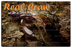 Real Craw