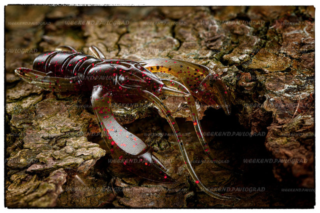 Fishup 1.5" Real Craw #045 Green Pumpkin/Red & Black