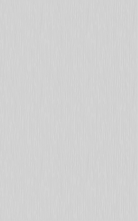 Плитка Cersanit OLIVIA LIGHT GREY 25X40