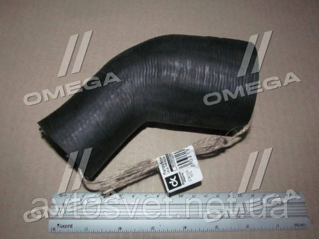 Патрубок радіатора Еталон, ТАТА нижній від насоса до радіатора DK252550105857