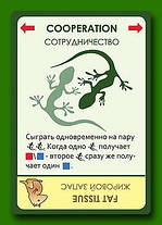 Настільна гра Еволюція, фото 4