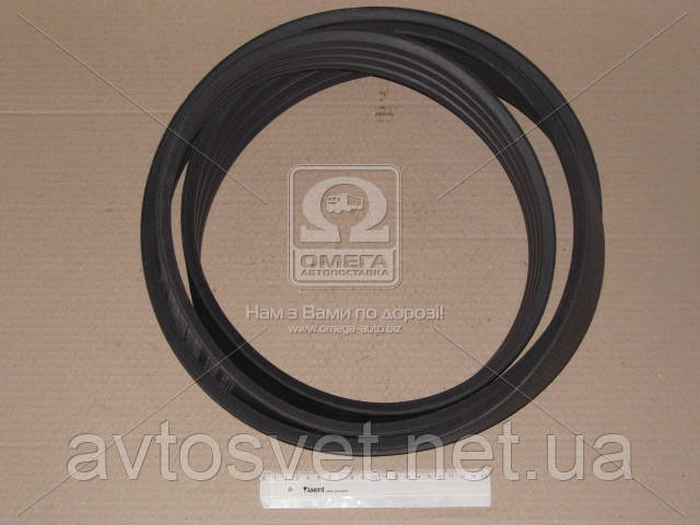 Ремінь D 3475 (ДГ-3475) (пр-во Rubena) D 3475