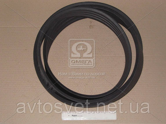 Ремінь D 3475 (ДГ-3475) (пр-во Rubena) D 3475, фото 1