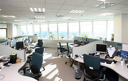 Основний розділ