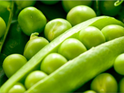 Горох солодкий "Дитячий" (насіння 5 г)