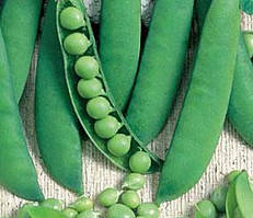 Горох солодкий "Медова лопатка" (насіння 5 г)