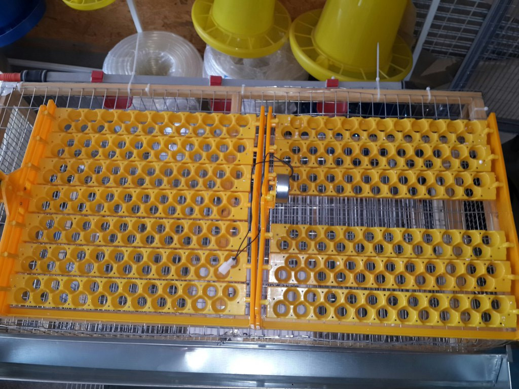 Лоток автоматического переворота яиц в инкубаторе - фото 2 - id-p171189287