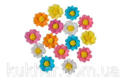Набір "Польові квіти" (мікс), фото 1