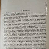 Релаксация Кум Нье Тартанг Тулку, фото 6