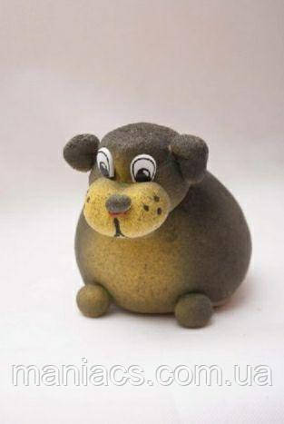 Трав'янчик Цуцик