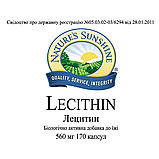 Lecithin Лецитин, NSP, НСП, США Для поліпшення функціонування мозку, живлення нервової системи, фото 4