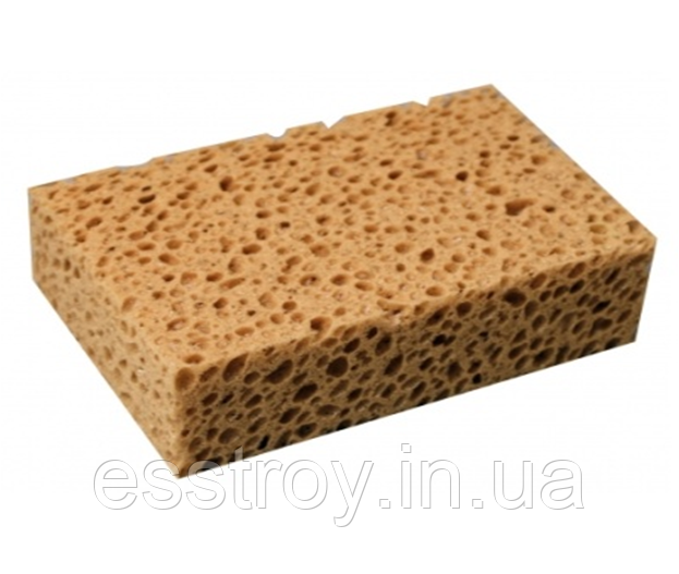 Губка великопориста, 110х160х60мм