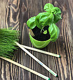 Подарунковий набір з зростаючими олівцями Мрія подарунок для вчителя на 8 березня, фото 2