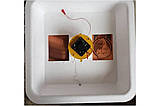 Домашній інкубатор для яєць Рябушка 70 яєць Смарт плюс турбо цифрової з ручним переворотом яєць Інкубатор, фото 4