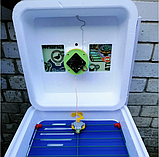 Автоматичний інкубатор Рябушка Смарт турбо 48 яєць цифровий Домашній інкубатор для яєць, фото 3