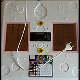 Автоматичний інкубатор Рябушка Смарт турбо 48 яєць цифровий Домашній інкубатор для яєць, фото 3