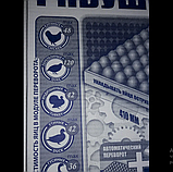 Автоматичний інкубатор Рябушка Смарт турбо 48 яєць цифровий Домашній інкубатор для яєць, фото 5