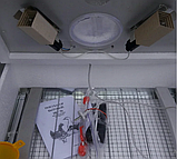 Домашній інкубатор для яєць Наседка 70 яєць з механічним переворотом пластик Інкубатор побутовий посилений, фото 3
