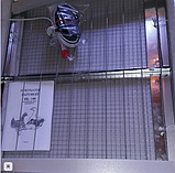 Домашній інкубатор для яєць Наседка 140 яєць з механічним переворотом Інкубатор побутовий, фото 4