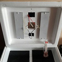 Инкубатор автоматический Несушка 77 (г.Новосибирск) с выходом на 220В/12В аналоговый
