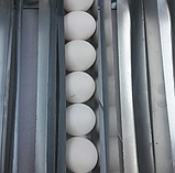 Автоматичний Домашній інкубатор для яєць Наседка Турбо 140 яєць цифровий ламповий Інкубатор побутовий, фото 8