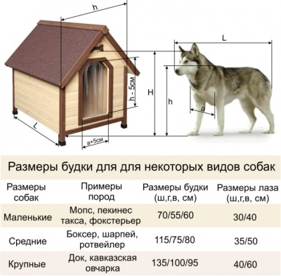 Обустройство вольера для собак: материалы, планировка, отделка