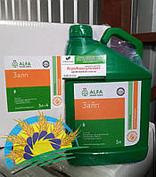 Залп, 5 л (аналог Нурел Д, Фосорган Дуо, Шаман) — інсектицид (хлорпірифос, 500 г/л + циперметрин, 50 г/л)