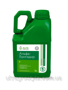 Альфа Бригадир (5 л), фото 1