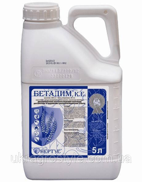 Бетадим КЕ (5 л), фото 1