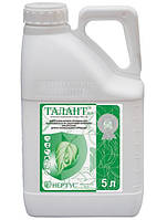 ТАЛАНТ, в.р. (5л)