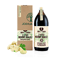Сок из белой шелковицы, натуральный без сахара 500 мл, Joshua Tree